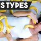 Types of Penis