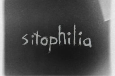 Sitophilia